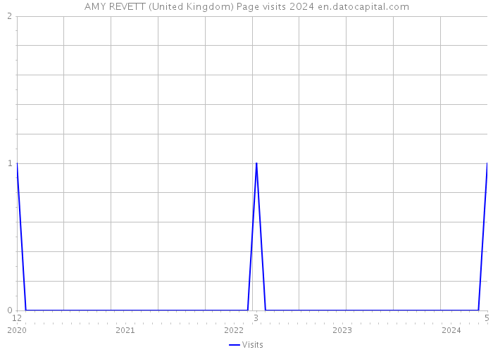AMY REVETT (United Kingdom) Page visits 2024 