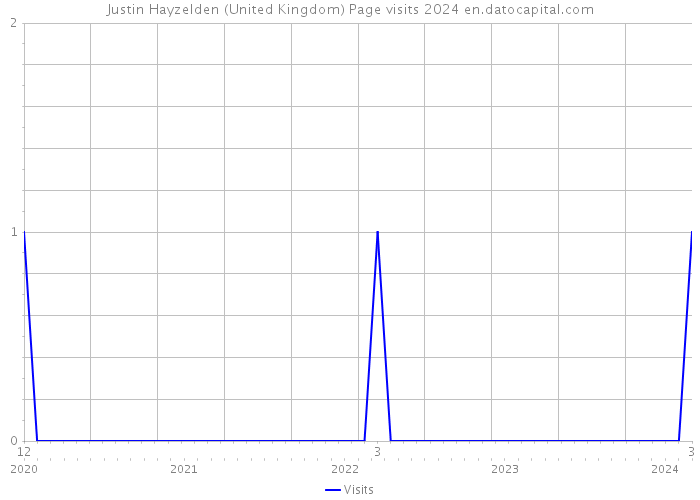 Justin Hayzelden (United Kingdom) Page visits 2024 