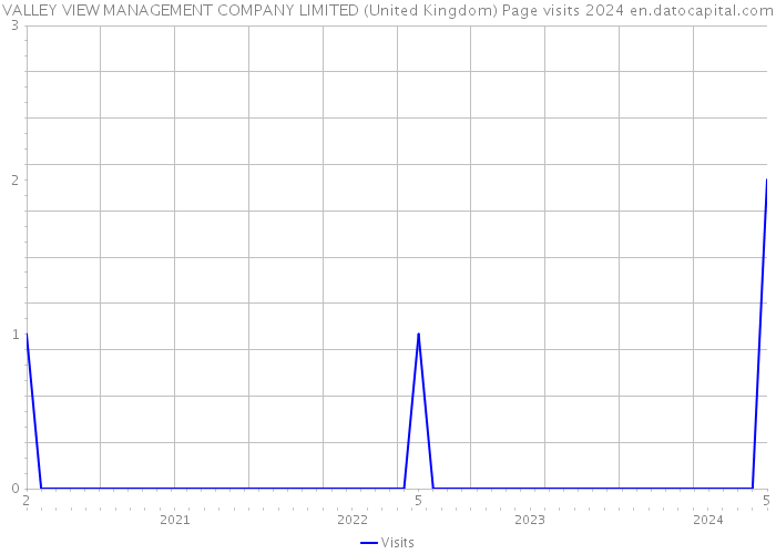 VALLEY VIEW MANAGEMENT COMPANY LIMITED (United Kingdom) Page visits 2024 