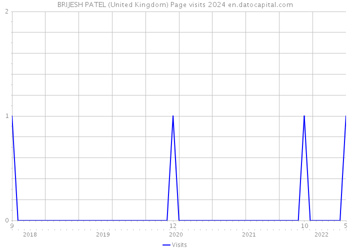 BRIJESH PATEL (United Kingdom) Page visits 2024 