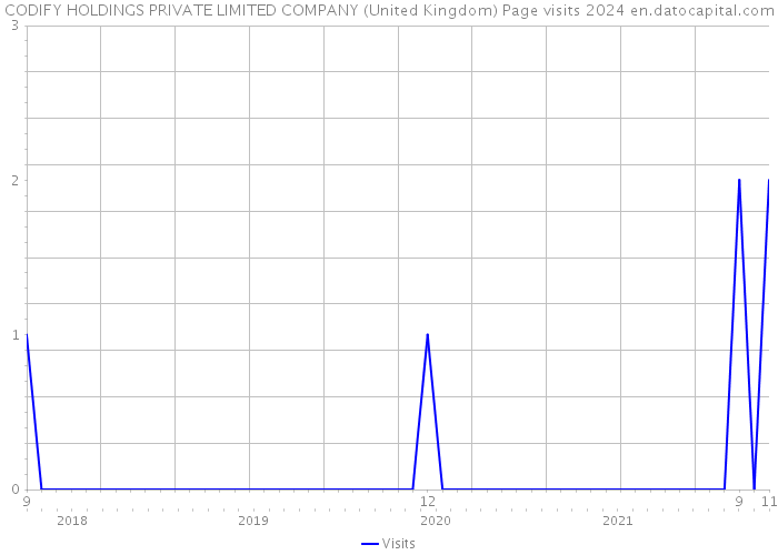 CODIFY HOLDINGS PRIVATE LIMITED COMPANY (United Kingdom) Page visits 2024 