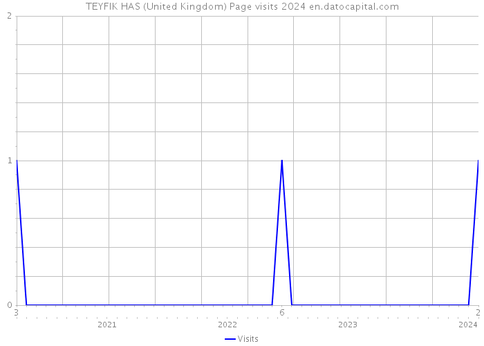 TEYFIK HAS (United Kingdom) Page visits 2024 