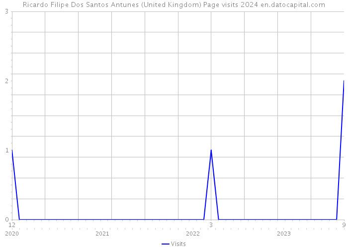Ricardo Filipe Dos Santos Antunes (United Kingdom) Page visits 2024 