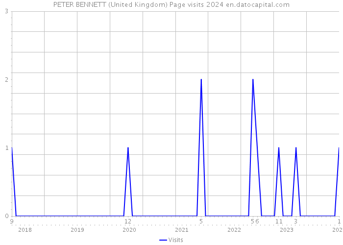 PETER BENNETT (United Kingdom) Page visits 2024 