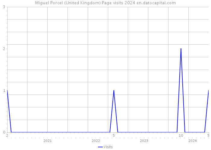 Miguel Porcel (United Kingdom) Page visits 2024 