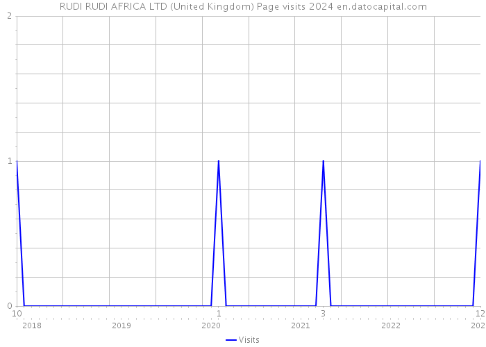RUDI RUDI AFRICA LTD (United Kingdom) Page visits 2024 
