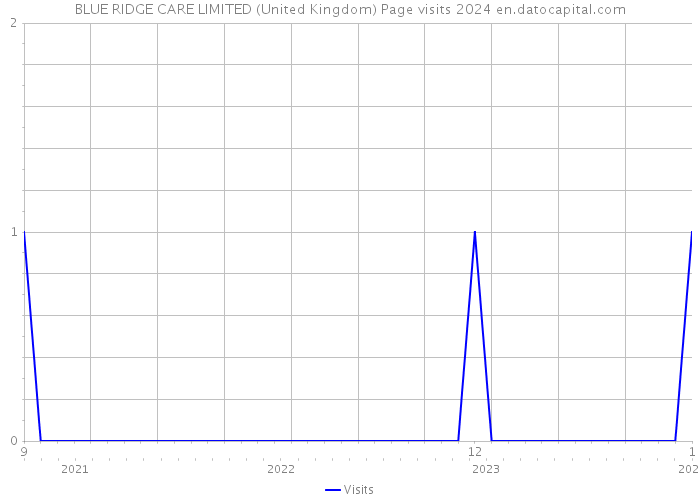 BLUE RIDGE CARE LIMITED (United Kingdom) Page visits 2024 