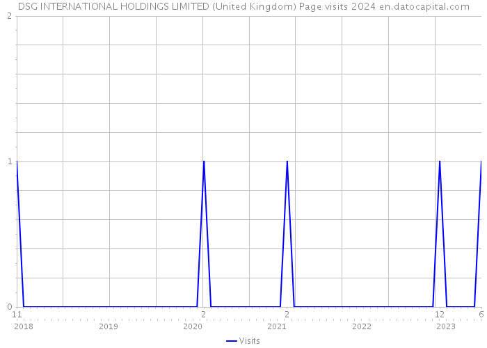 DSG INTERNATIONAL HOLDINGS LIMITED (United Kingdom) Page visits 2024 