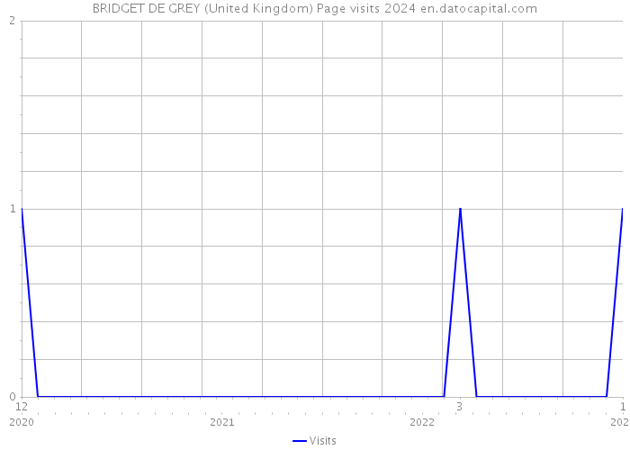 BRIDGET DE GREY (United Kingdom) Page visits 2024 