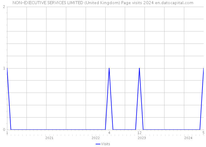 NON-EXECUTIVE SERVICES LIMITED (United Kingdom) Page visits 2024 