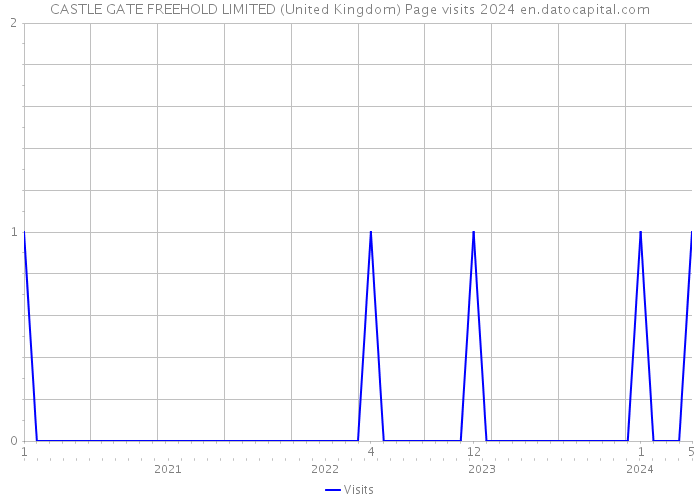 CASTLE GATE FREEHOLD LIMITED (United Kingdom) Page visits 2024 