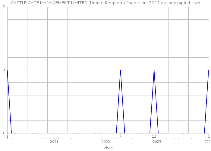 CASTLE GATE MANAGEMENT LIMITED (United Kingdom) Page visits 2024 