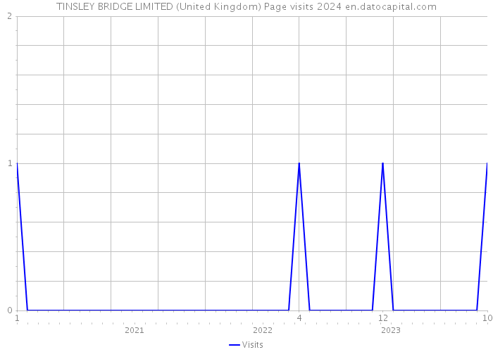 TINSLEY BRIDGE LIMITED (United Kingdom) Page visits 2024 