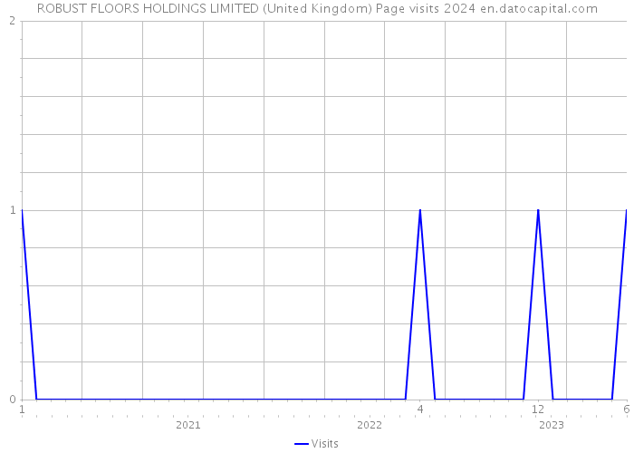 ROBUST FLOORS HOLDINGS LIMITED (United Kingdom) Page visits 2024 
