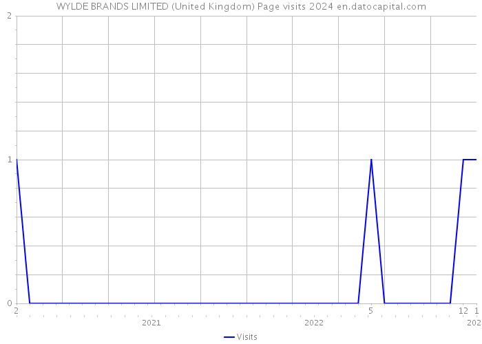 WYLDE BRANDS LIMITED (United Kingdom) Page visits 2024 
