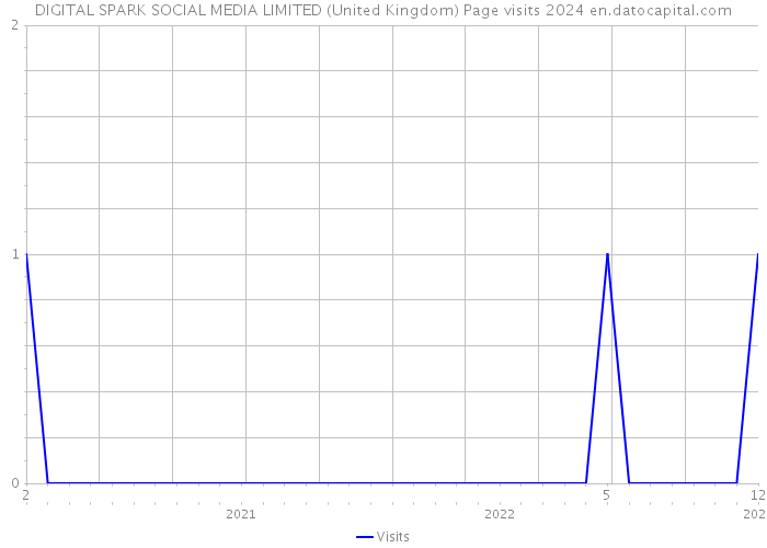 DIGITAL SPARK SOCIAL MEDIA LIMITED (United Kingdom) Page visits 2024 