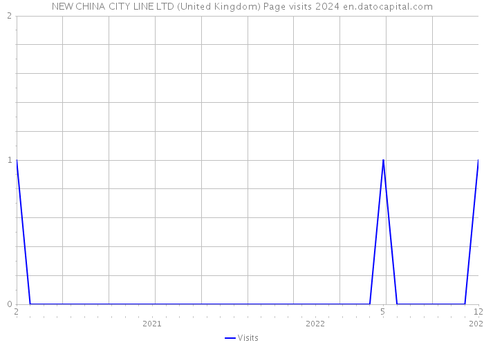NEW CHINA CITY LINE LTD (United Kingdom) Page visits 2024 
