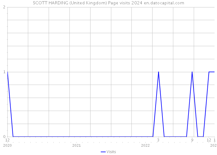 SCOTT HARDING (United Kingdom) Page visits 2024 