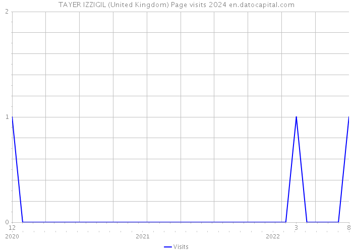 TAYER IZZIGIL (United Kingdom) Page visits 2024 