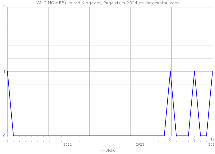 WILDING MBE (United Kingdom) Page visits 2024 