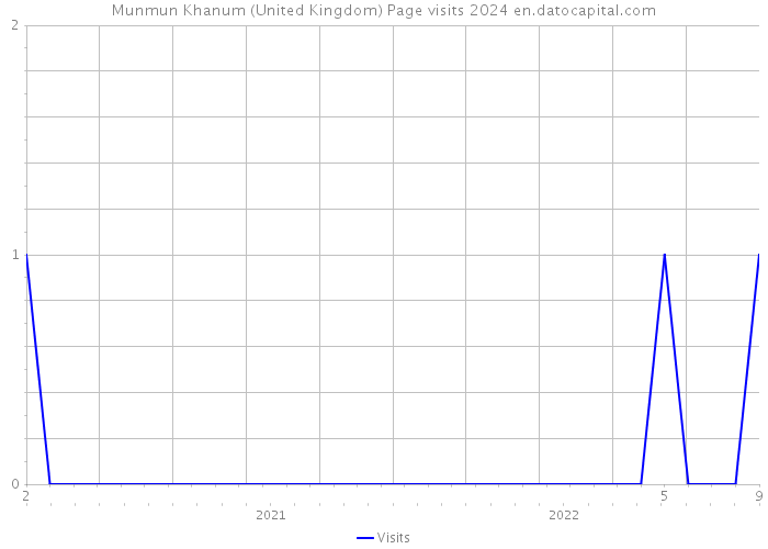 Munmun Khanum (United Kingdom) Page visits 2024 