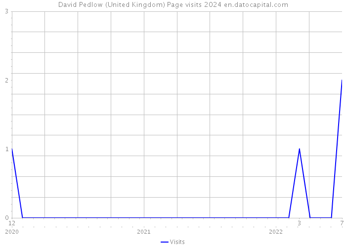 David Pedlow (United Kingdom) Page visits 2024 