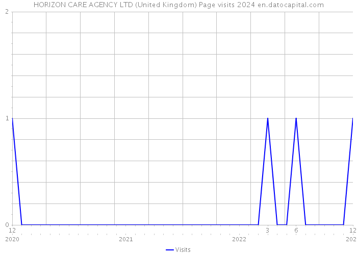 HORIZON CARE AGENCY LTD (United Kingdom) Page visits 2024 