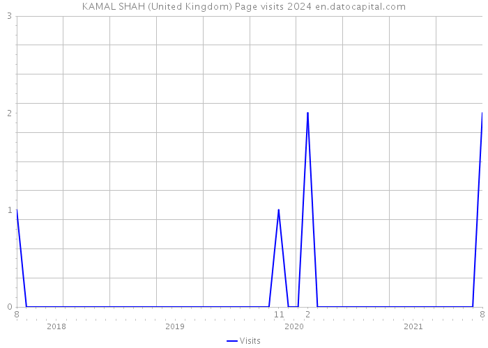 KAMAL SHAH (United Kingdom) Page visits 2024 