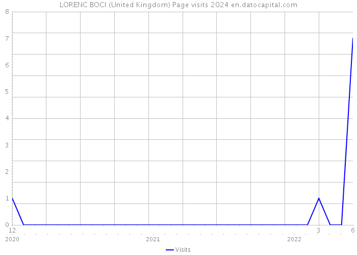 LORENC BOCI (United Kingdom) Page visits 2024 