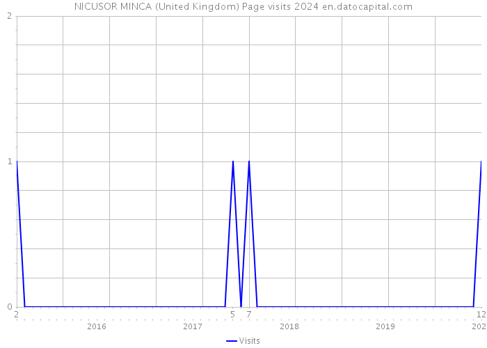 NICUSOR MINCA (United Kingdom) Page visits 2024 