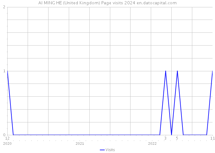 AI MING HE (United Kingdom) Page visits 2024 