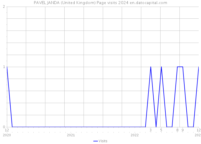 PAVEL JANDA (United Kingdom) Page visits 2024 