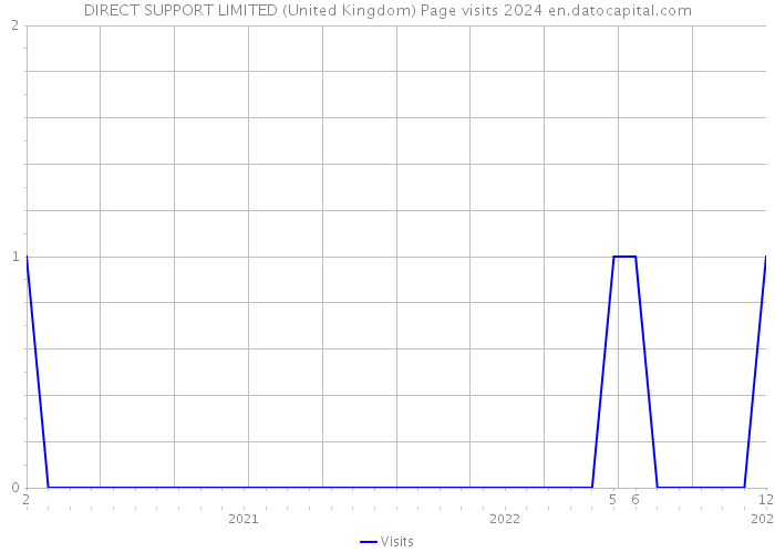 DIRECT SUPPORT LIMITED (United Kingdom) Page visits 2024 