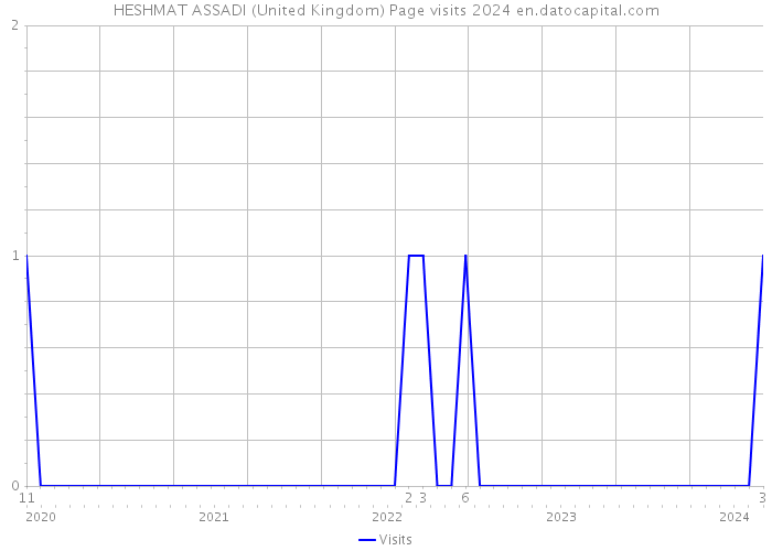 HESHMAT ASSADI (United Kingdom) Page visits 2024 