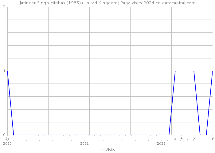 Jatinder Singh Minhas (1985) (United Kingdom) Page visits 2024 