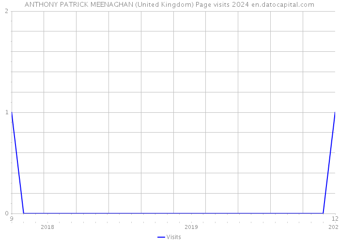 ANTHONY PATRICK MEENAGHAN (United Kingdom) Page visits 2024 