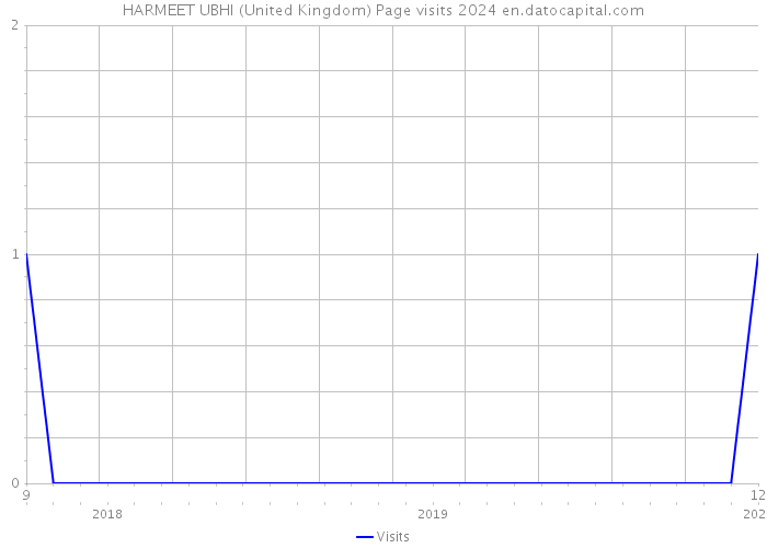 HARMEET UBHI (United Kingdom) Page visits 2024 