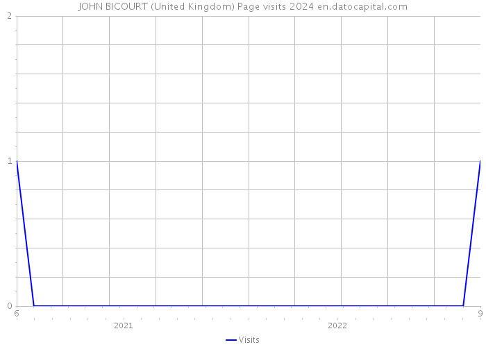 JOHN BICOURT (United Kingdom) Page visits 2024 