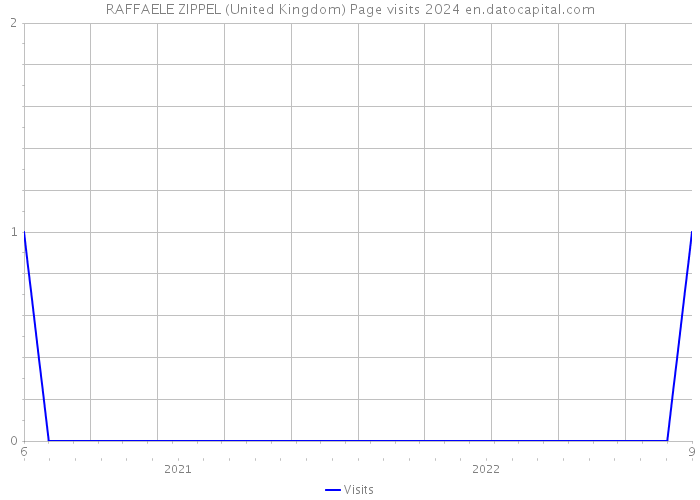 RAFFAELE ZIPPEL (United Kingdom) Page visits 2024 