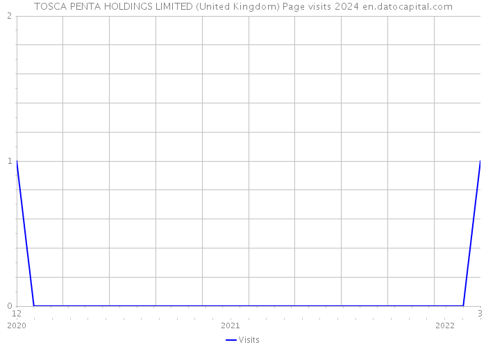 TOSCA PENTA HOLDINGS LIMITED (United Kingdom) Page visits 2024 