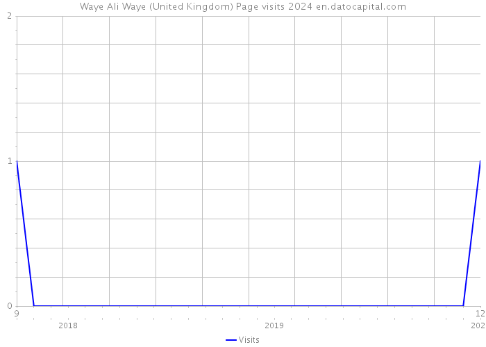 Waye Ali Waye (United Kingdom) Page visits 2024 