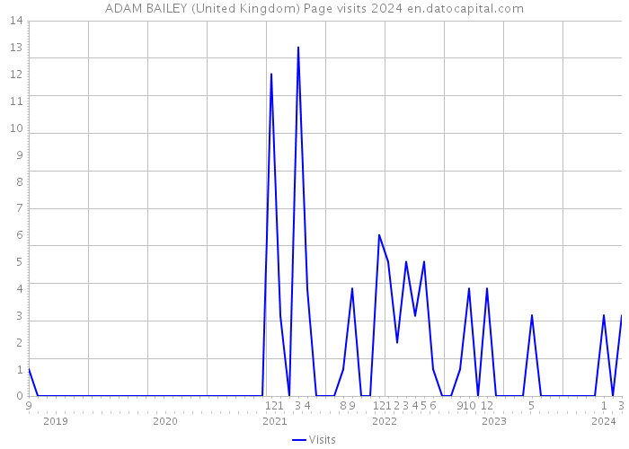 ADAM BAILEY (United Kingdom) Page visits 2024 