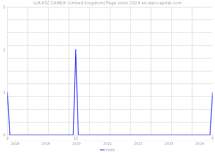 LUKASZ GAWLIK (United Kingdom) Page visits 2024 