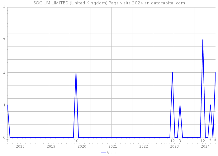 SOCIUM LIMITED (United Kingdom) Page visits 2024 
