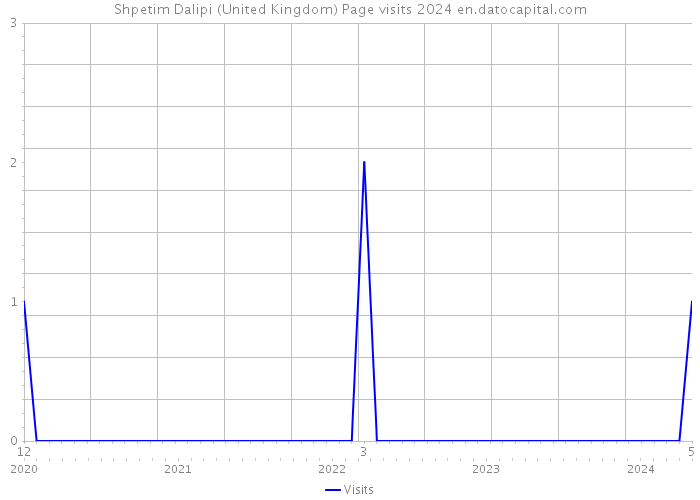 Shpetim Dalipi (United Kingdom) Page visits 2024 