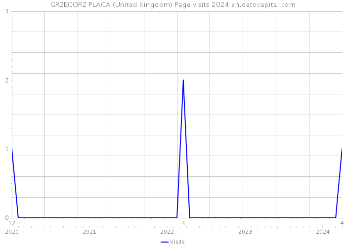 GRZEGORZ PLAGA (United Kingdom) Page visits 2024 