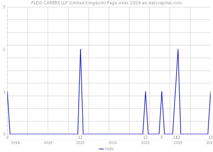 FLEXI CARERS LLP (United Kingdom) Page visits 2024 