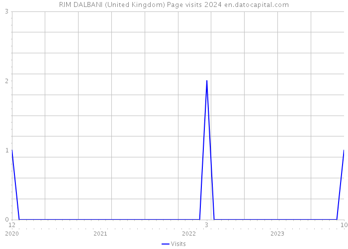 RIM DALBANI (United Kingdom) Page visits 2024 