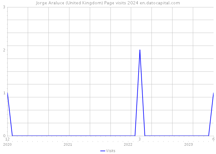 Jorge Araluce (United Kingdom) Page visits 2024 