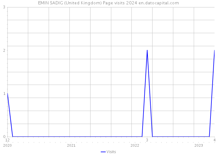 EMIN SADIG (United Kingdom) Page visits 2024 